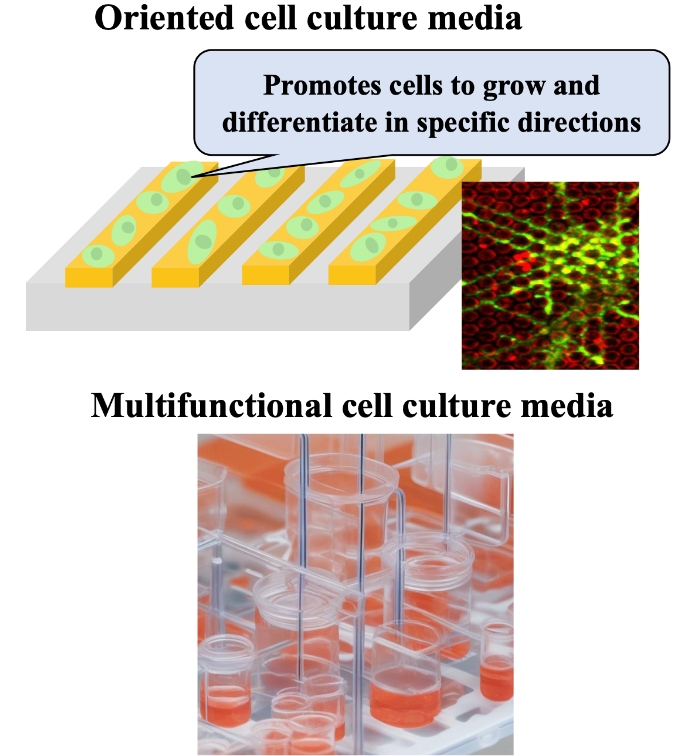 Oriented cell culture medium, multifunctional culture medium with fine surface structure suitable for cell aggregation prevention and cell culture